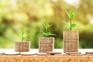 money 2696219 (1)